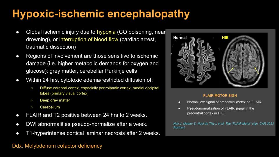43M drug user found down-f